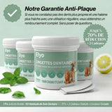Lingettes OralPure Care - Une hygiène dentaire sans effort pour votre chien