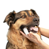 Lingettes OralPure Care - Une hygiène dentaire sans effort pour votre chien