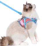 PawLuna - Harnais Anti-Fugue pour Chat Promenades sûres & liberté sans stress