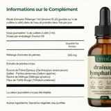 Lyméa Vitalité – Se sentir plus léger jour après jour