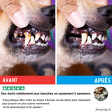 Lingettes OralPure Care - Une hygiène dentaire sans effort pour votre chien