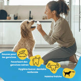 Lingettes OralPure Care - Une hygiène dentaire sans effort pour votre chien