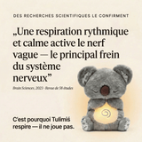 Cocoona Dream - Confort et détente en douceur pour de beaux rêves