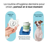 Lingettes OralPure Care - Une hygiène dentaire sans effort pour votre chien